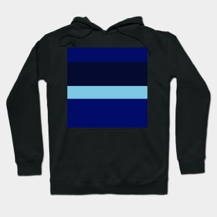 A miraculous package of Lightblue, Primary Blue, Dark Imperial Blue and Dark Navy stripes. Hoodie